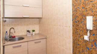 Апартаменты Laisves apartments Вильнюс Апартаменты в пентхаусе-20