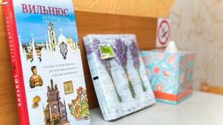 Апартаменты Laisves apartments Вильнюс Апартаменты в пентхаусе-27